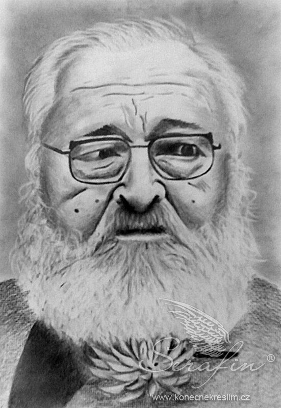 Obrázek