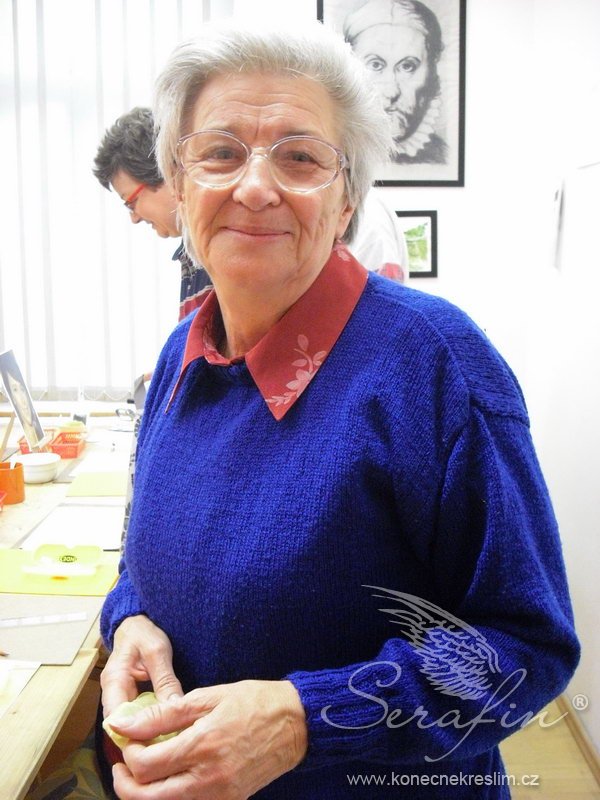 Obrázek