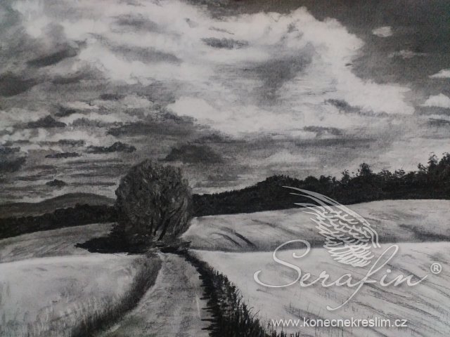 Obrázek
