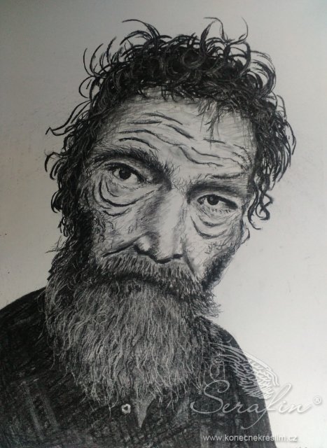 Obrázek